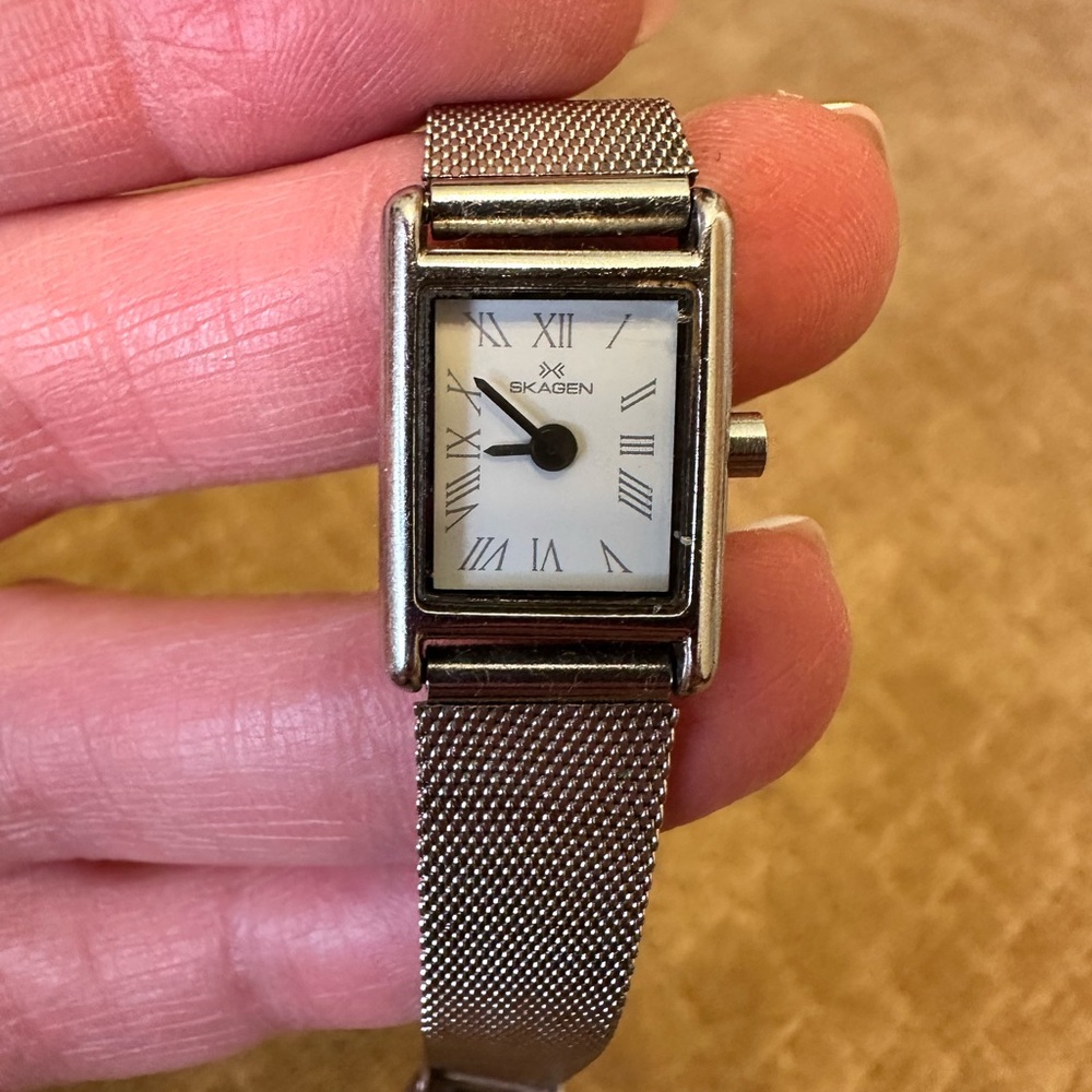 Skagen Silver Mesh Watch